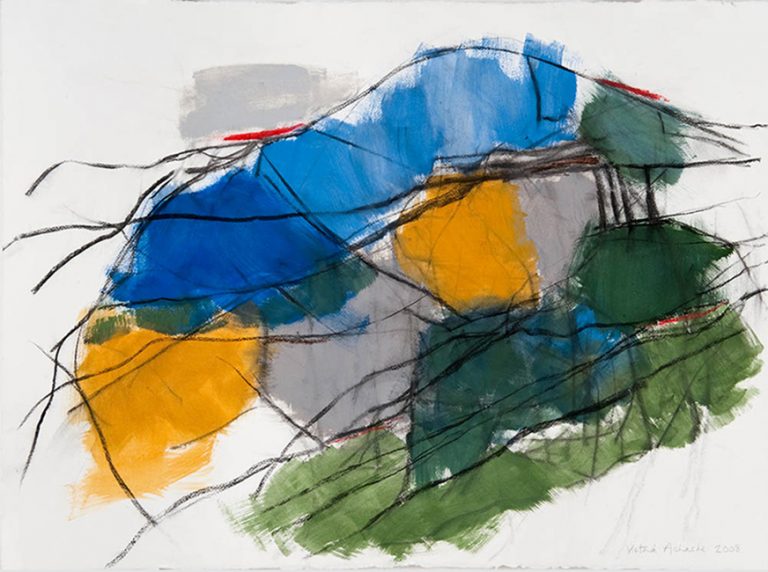 Hillside 1 2008 acrylic and charcoal on paper 57 x 76 cm