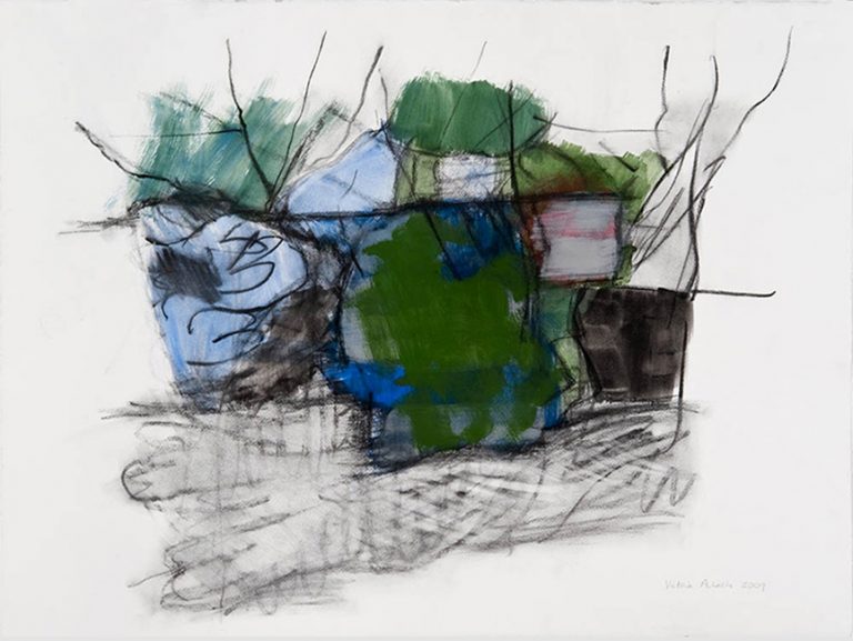 Landscape 2009 acrylic and charcoal on paper 57 x 76 cm